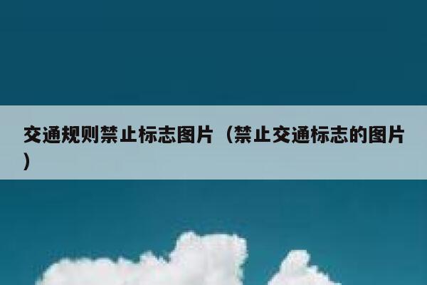 交通规则禁止标志图片（禁止交通标志的图片） 第1张