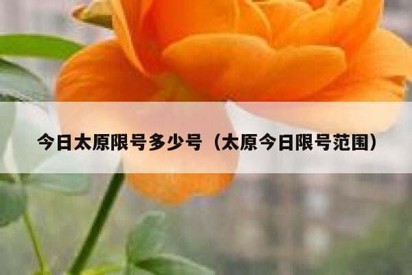 今日太原限号多少号（太原今日限号范围） 第1张