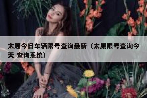 太原今日车辆限号查询最新（太原限号查询今天 查询系统） 第1张