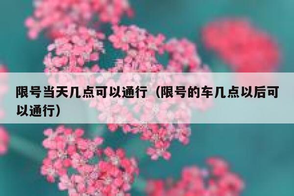 限号当天几点可以通行（限号的车几点以后可以通行） 第1张