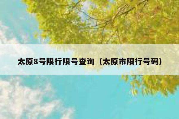太原8号限行限号查询（太原市限行号码） 第1张