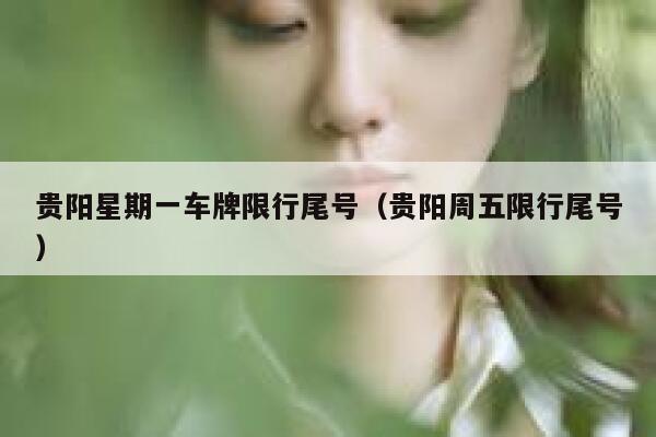 贵阳星期一车牌限行尾号（贵阳周五限行尾号） 第1张
