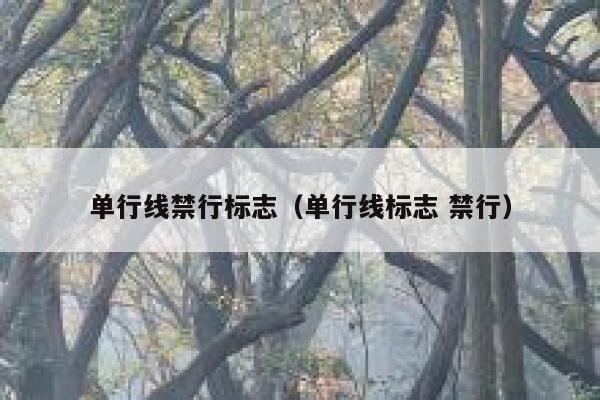 单行线禁行标志（单行线标志 禁行） 第1张