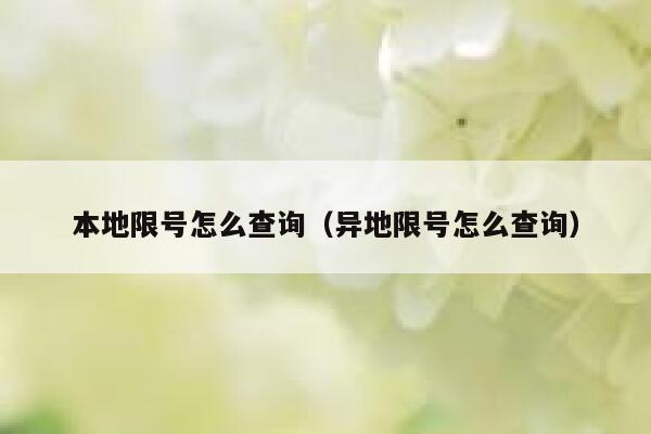 本地限号怎么查询（异地限号怎么查询） 第1张