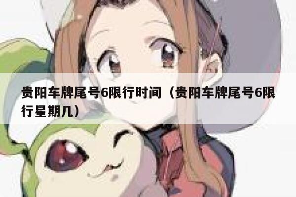 贵阳车牌尾号6限行时间（贵阳车牌尾号6限行星期几） 第1张