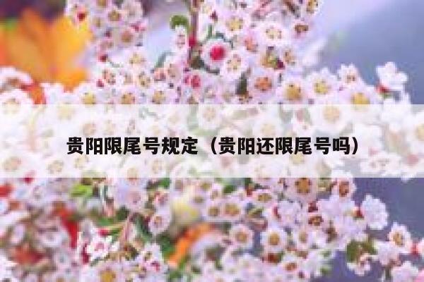 贵阳限尾号规定（贵阳还限尾号吗） 第1张
