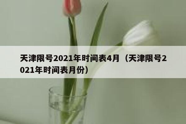 天津限号2021年时间表4月（天津限号2021年时间表月份） 第1张