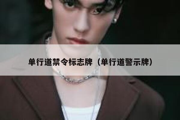 单行道禁令标志牌（单行道警示牌） 第1张