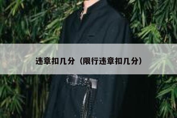 违章扣几分（限行违章扣几分） 第1张