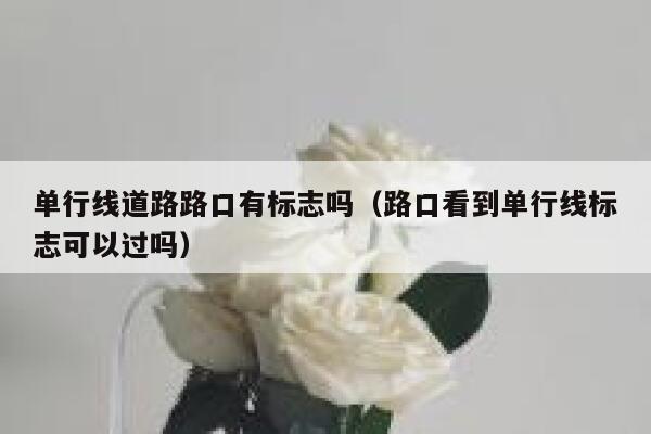 单行线道路路口有标志吗（路口看到单行线标志可以过吗） 第1张