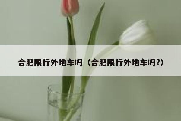合肥限行外地车吗（合肥限行外地车吗?） 第1张