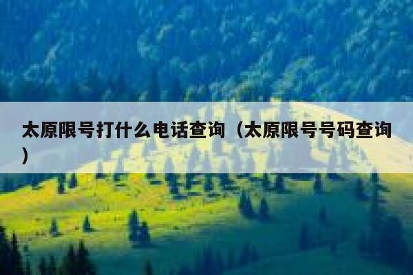 太原限号打什么电话查询（太原限号号码查询） 第1张