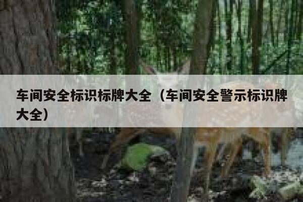 车间安全标识标牌大全（车间安全警示标识牌大全） 第1张