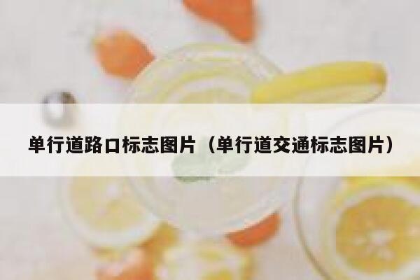 单行道路口标志图片（单行道交通标志图片） 第1张