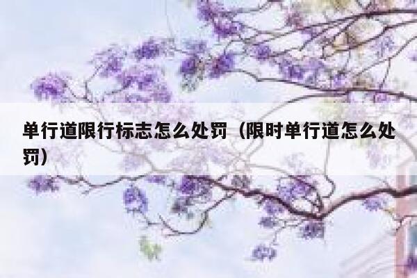 单行道限行标志怎么处罚（限时单行道怎么处罚） 第1张
