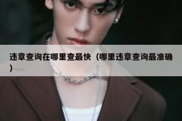 违章查询在哪里查最快（哪里违章查询最准确） 第1张