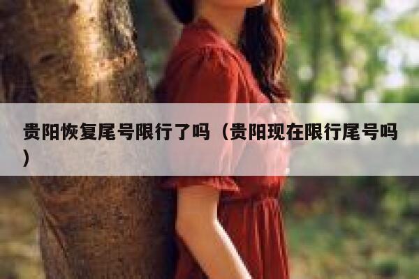 贵阳恢复尾号限行了吗（贵阳现在限行尾号吗） 第1张