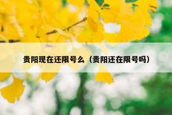 贵阳现在还限号么（贵阳还在限号吗） 第1张