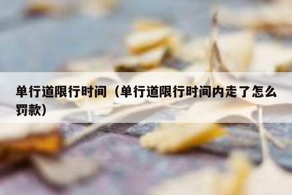 单行道限行时间（单行道限行时间内走了怎么罚款） 第1张