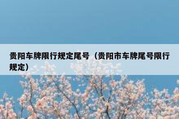 贵阳车牌限行规定尾号（贵阳市车牌尾号限行规定） 第1张