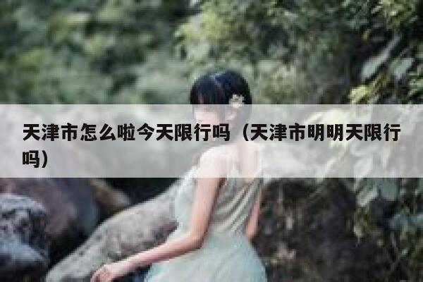 天津市怎么啦今天限行吗（天津市明明天限行吗） 第1张