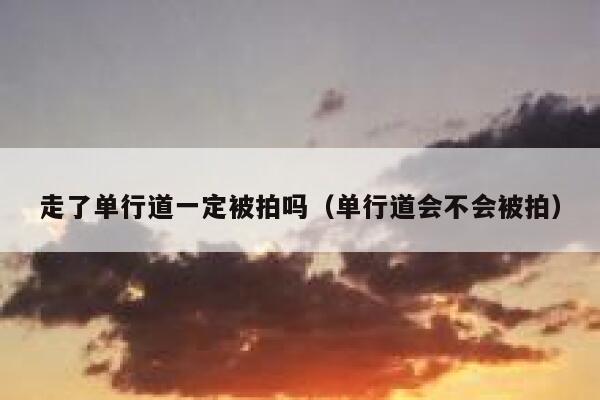走了单行道一定被拍吗（单行道会不会被拍） 第1张