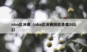 nbn总决赛（nba总决赛回放录像2022） 