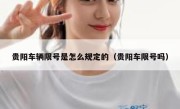 贵阳车辆限号是怎么规定的（贵阳车限号吗） 