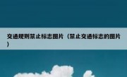 交通规则禁止标志图片（禁止交通标志的图片）