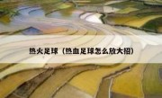 热火足球（热血足球怎么放大招） 