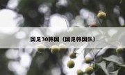 国足30韩国（国足韩国队） 