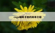 csgo辅助卡盟的简单介绍 