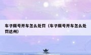 车子限号开车怎么处罚（车子限号开车怎么处罚达州） 