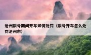 沧州限号期间开车如何处罚（限号开车怎么处罚沧州市） 
