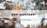比达尔（比达尔什么水平） 