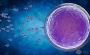 广医三院做试管婴儿怎么样？2022卵子提供助孕成功率数据公布
