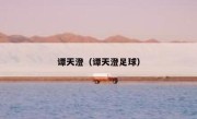 谭天澄（谭天澄足球） 