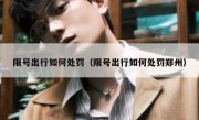 限号出行如何处罚（限号出行如何处罚郑州） 