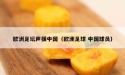 欧洲足坛声援中国（欧洲足球 中国球员） 