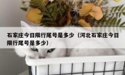 石家庄今日限行尾号是多少（河北石家庄今日限行尾号是多少） 