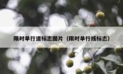 限时单行道标志图片（限时单行线标志） 