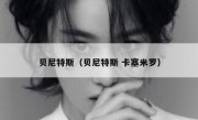 贝尼特斯（贝尼特斯 卡塞米罗） 