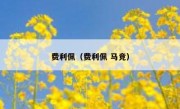 费利佩（费利佩 马竞） 