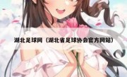 湖北足球网（湖北省足球协会官方网站） 