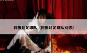 阿根廷足球队（阿根廷足球队别称） 