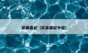 武藤嘉纪（武藤嘉纪中超） 