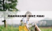 阿森纳球员拉姆塞（姆安巴 阿森纳） 