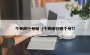 今天限行号吗（今天限行哪个号?）