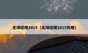 足球经理2015（足球经理2015攻略） 