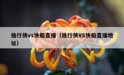 独行侠vs快船直播（独行侠VS快船直播地址） 